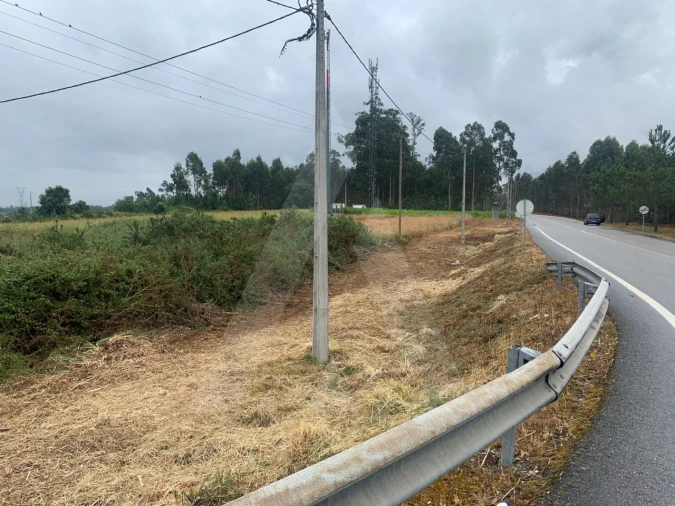 Terreno Agricola ou Rústico para Venda em Requeixo, Nossa Senhora de Fátima e Nariz Foto 5