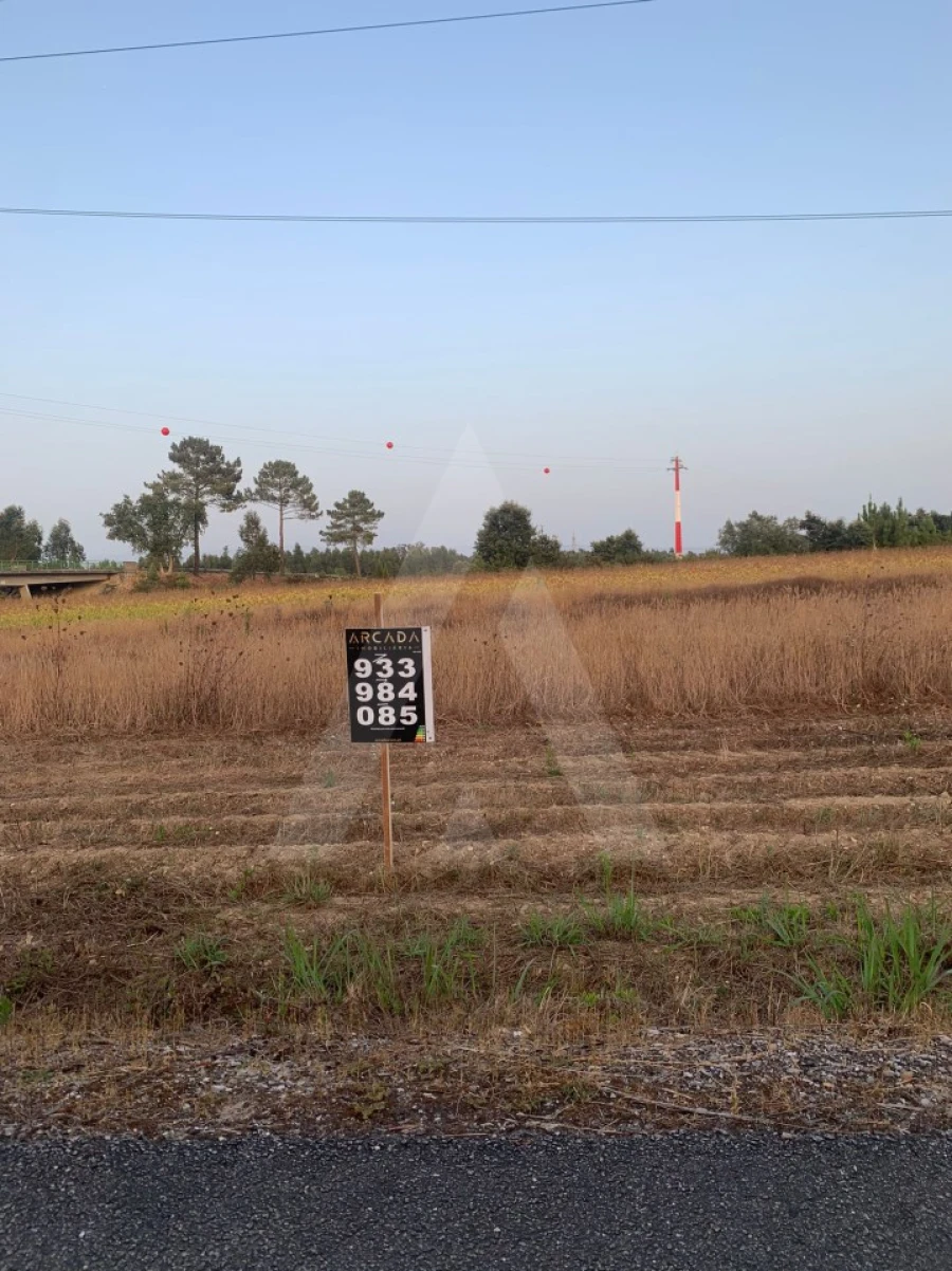 Terreno Agricola ou Rústico para Venda em Requeixo, Nossa Senhora de Fátima e Nariz Foto 11