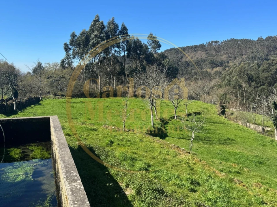 Terreno Misto para Venda em Ribeira do Neiva Foto 3