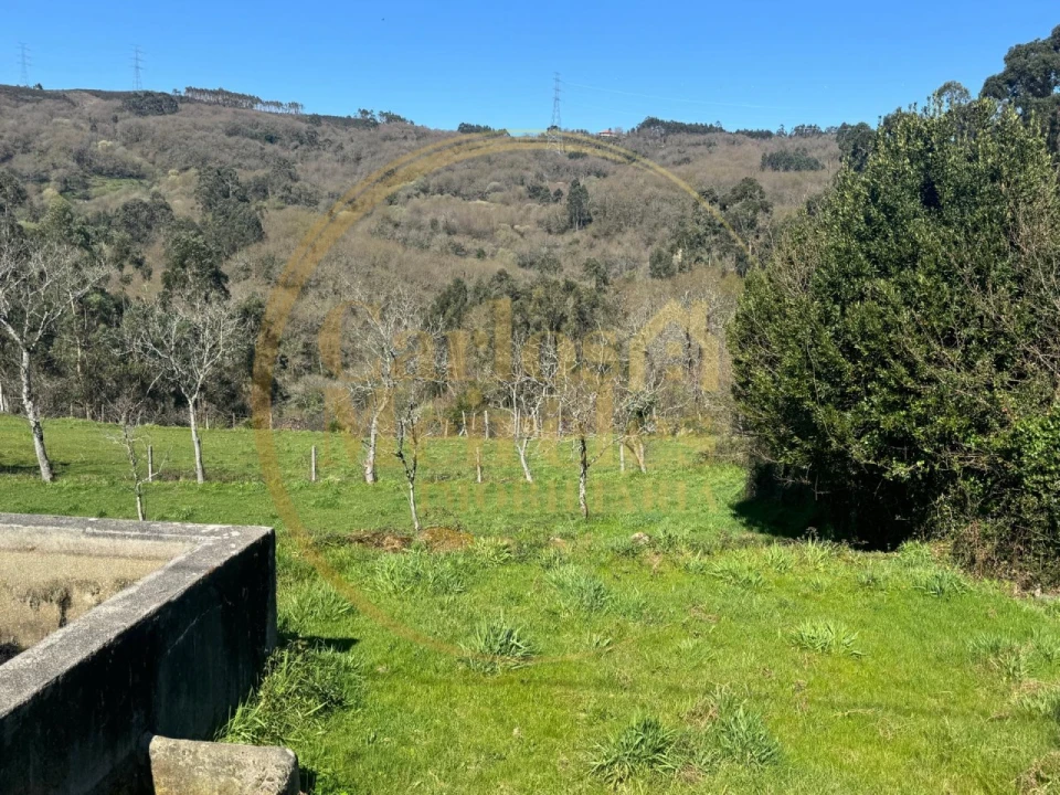Terreno Misto para Venda em Ribeira do Neiva Foto 6