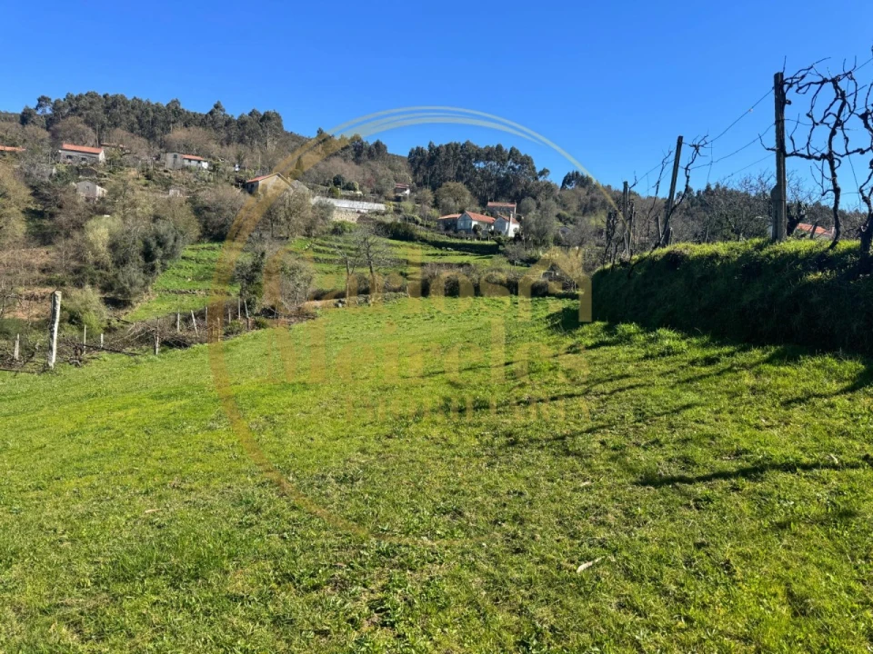 Terreno Misto para Venda em Ribeira do Neiva Foto 9