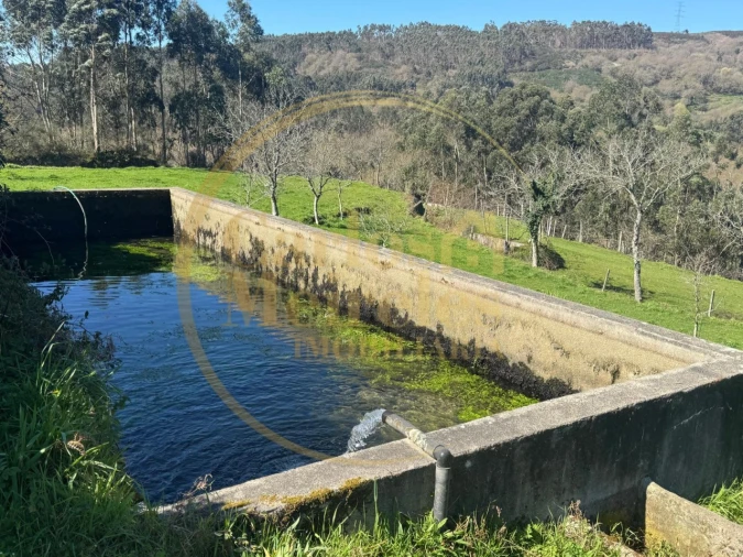 Terreno Misto para Venda em Ribeira do Neiva Foto 2