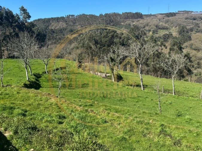 Terreno Misto para Venda em Ribeira do Neiva Foto 7