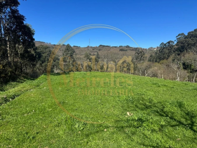Terreno Misto para Venda em Ribeira do Neiva Foto 8