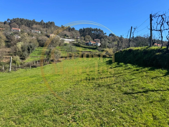Terreno Misto para Venda em Ribeira do Neiva Foto 9