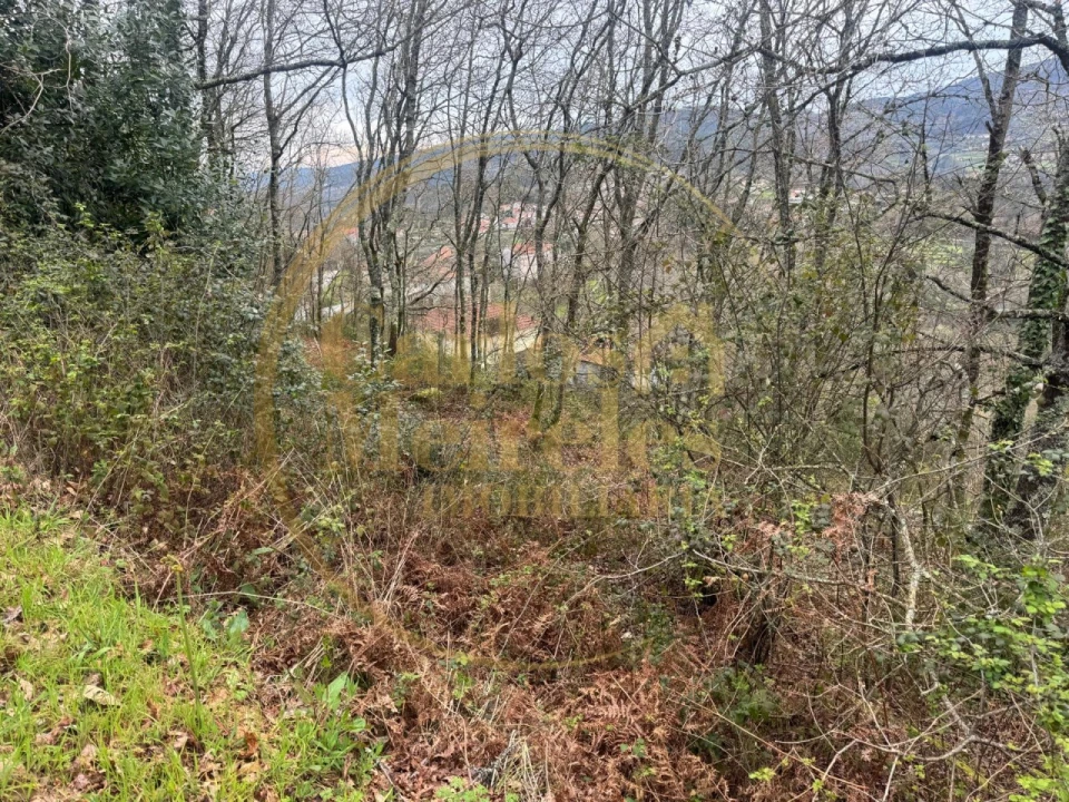Terreno Agricola ou Rústico para Venda em Vade Foto 2