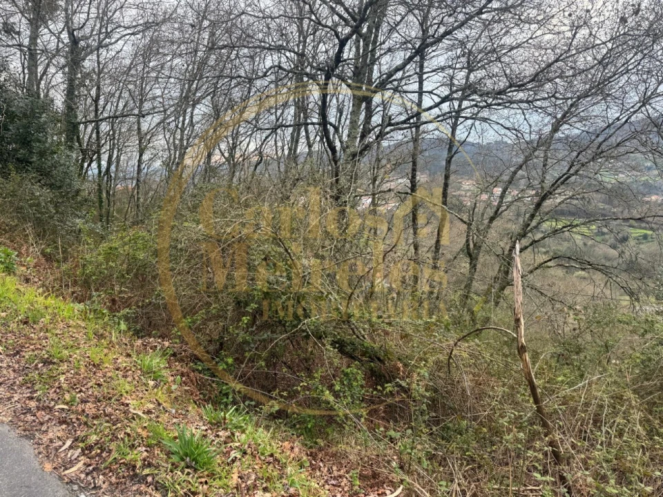 Terreno Agricola ou Rústico para Venda em Vade Foto 4
