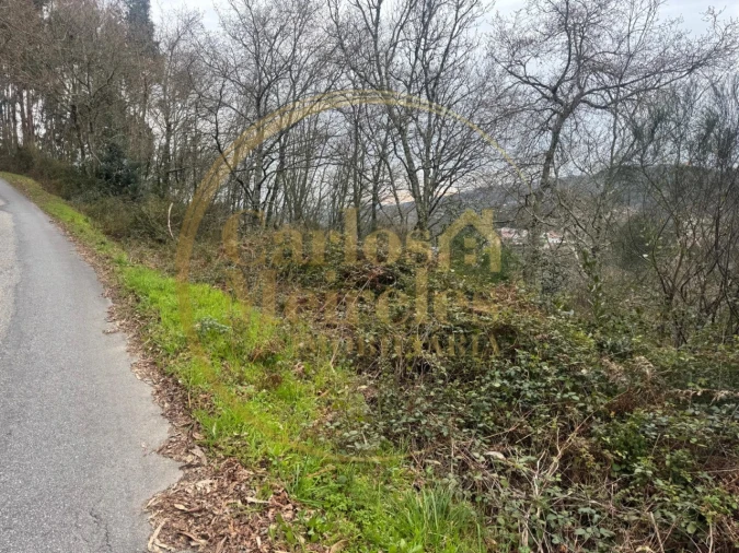 Terreno Agricola ou Rústico para Venda em Vade Foto 1