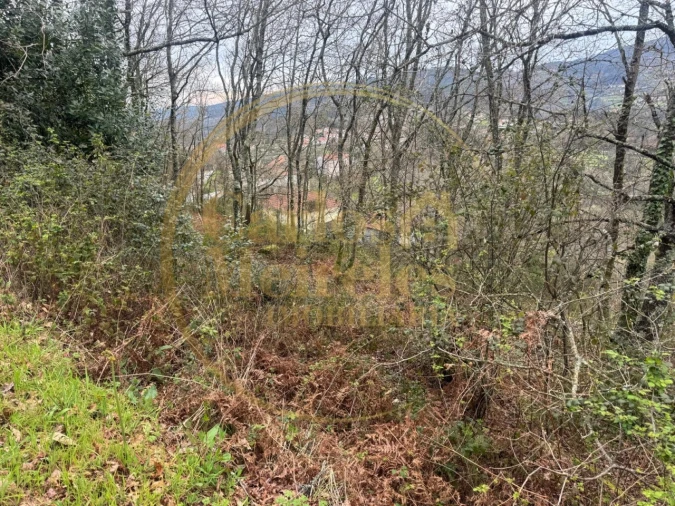 Terreno Agricola ou Rústico para Venda em Vade Foto 2