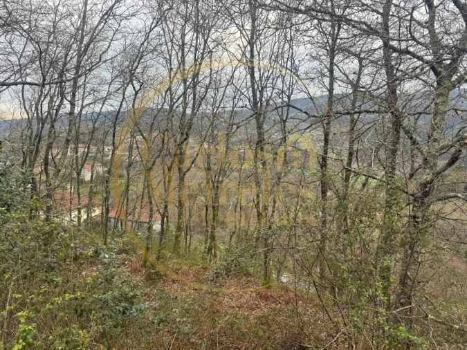 Terreno Agricola ou Rústico para Venda em Vade Foto 3