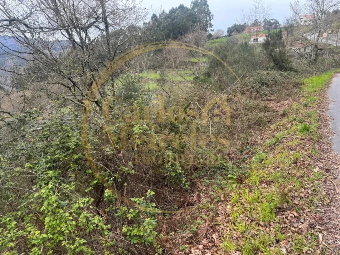 Terreno Agricola ou Rústico para Venda em Vade Foto 5