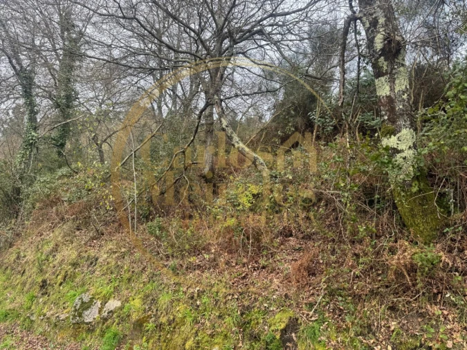 Terreno Agricola ou Rústico para Venda em Vade Foto 6