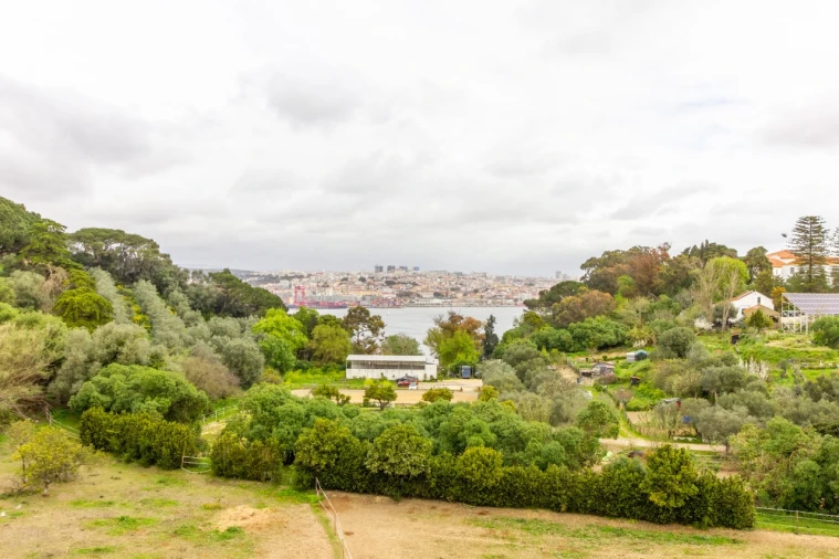 Apartamento T3 para Venda em Almada, Cova da Piedade, Pragal e Cacilhas Foto 15