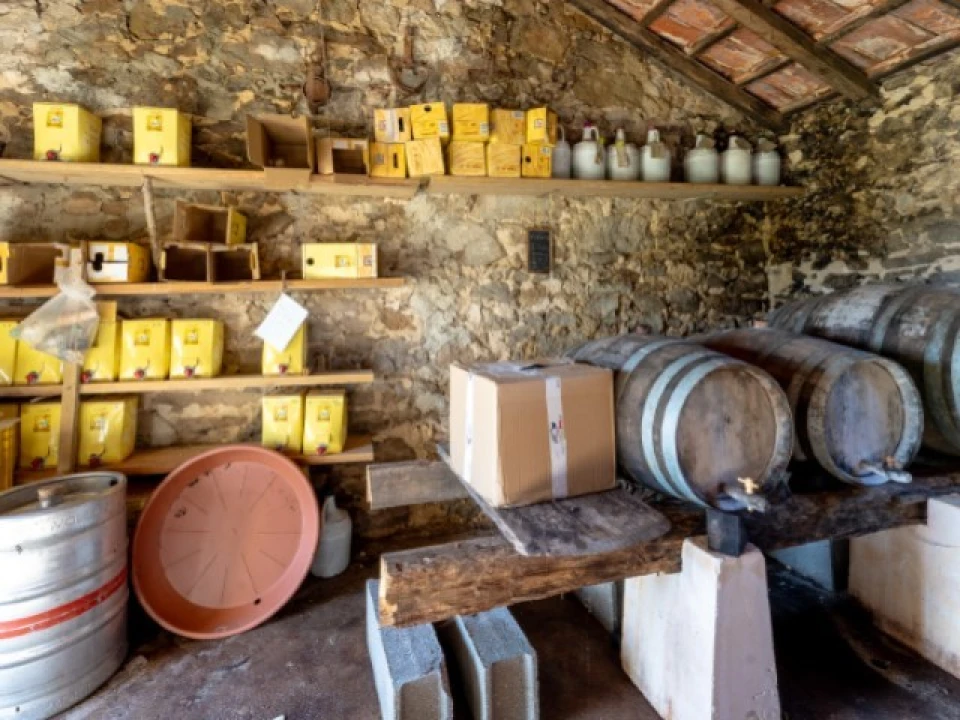 Moradia T2 para Venda em Famalicão Foto 35