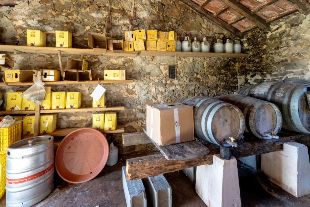 Moradia T2 para Venda em Famalicão Foto 20