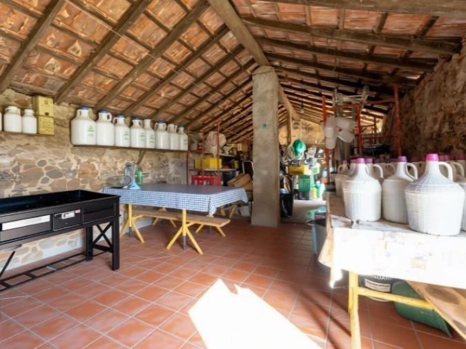 Moradia T2 para Venda em Famalicão Foto 32