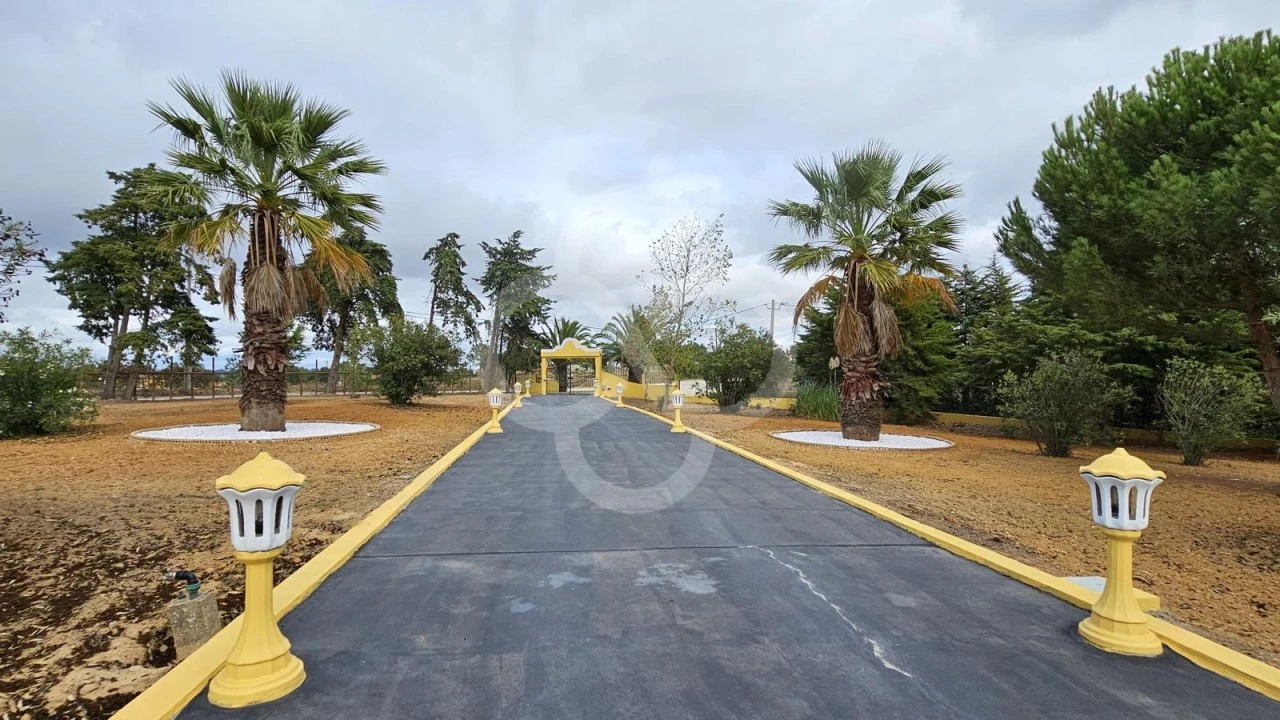 Quinta T5 para Venda em Aveiras de Cima Foto 43