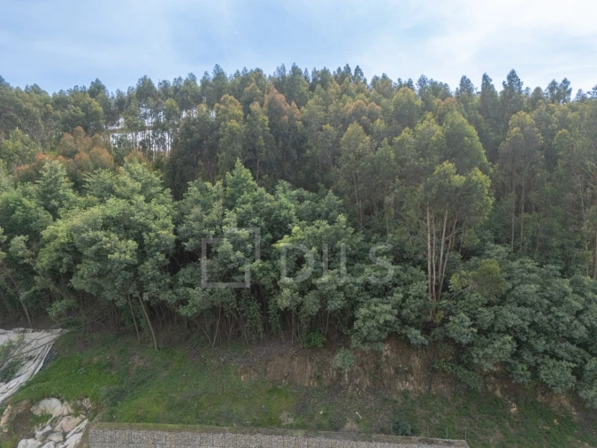 Apartamento T1 para Venda em Santa Marinha e São Pedro da Afurada Foto 38