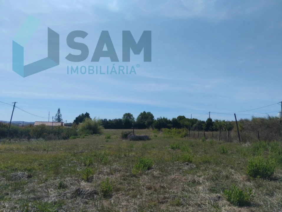 Terreno para Venda em Carvoeira e Carmões Foto 5