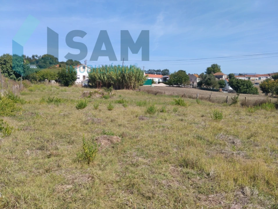 Terreno para Venda em Carvoeira e Carmões Foto 2