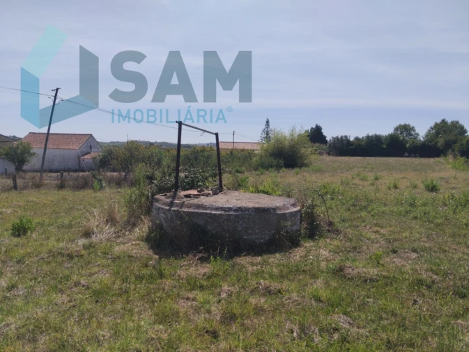 Terreno para Venda em Carvoeira e Carmões Foto 6