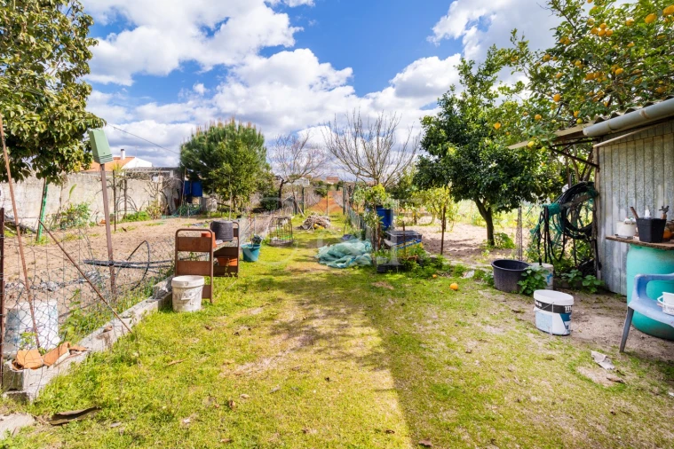 Moradia T3 para Venda em Alpiarça Foto 28