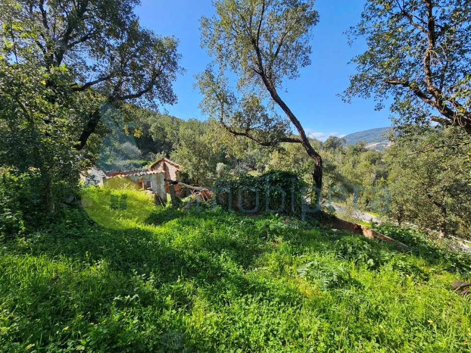 Quinta T1 para Venda em Alferce Foto 21