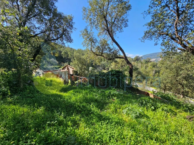 Quinta T1 para Venda em Alferce Foto 21