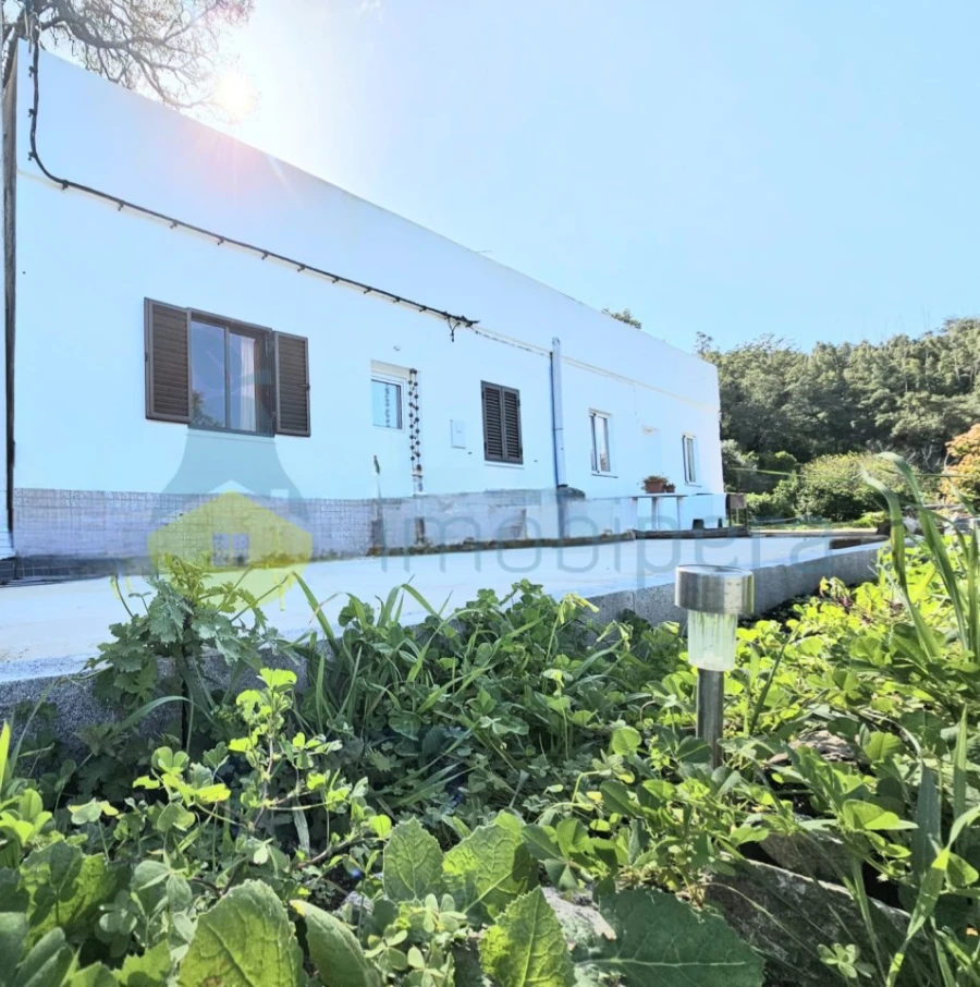 Quinta T1 para Venda em Alferce Foto 1