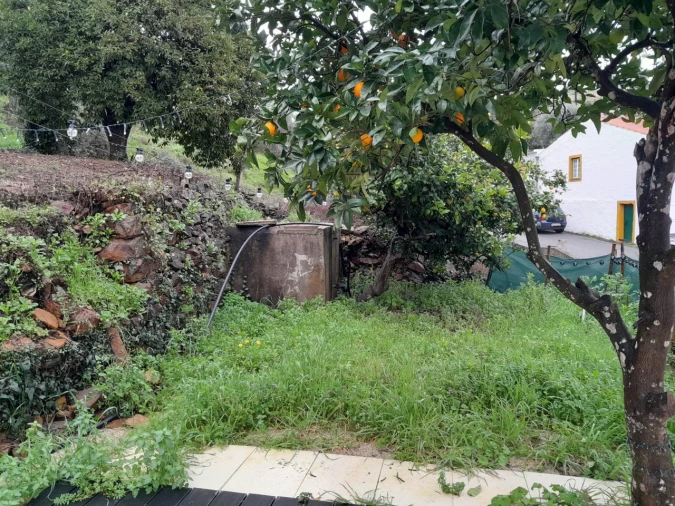 Moradia T3 para Venda em Mação, Penhascoso e Aboboreira Foto 27