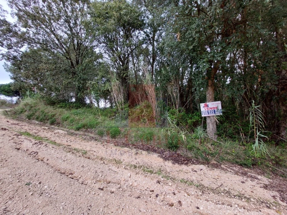 Terreno Agricola ou Rústico para Venda em Salir de Matos Foto 5