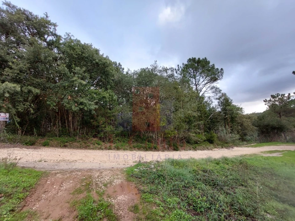 Terreno Agricola ou Rústico para Venda em Salir de Matos Foto 6