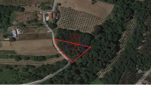 Terreno Agricola ou Rústico para Venda em Salir de Matos