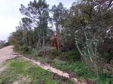 Terreno Agricola ou Rústico para Venda em Salir de Matos