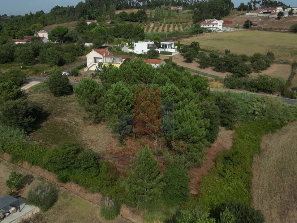 Terreno Agricola ou Rústico para Venda em Salir de Matos Foto 1