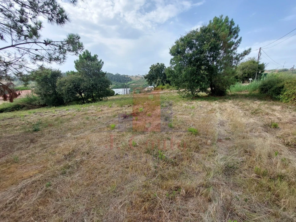 Terreno Agricola ou Rústico para Venda em Salir de Matos Foto 11