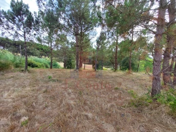 Terreno Agricola ou Rústico para Venda em Salir de Matos