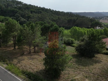 Terreno Agricola ou Rústico para Venda em Salir de Matos