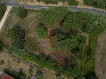 Terreno Agricola ou Rústico para Venda em Salir de Matos