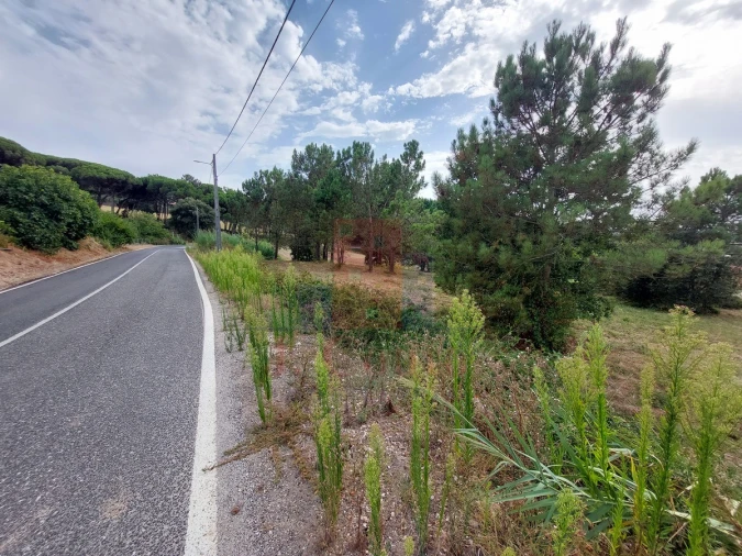 Terreno Agricola ou Rústico para Venda em Salir de Matos Foto 13