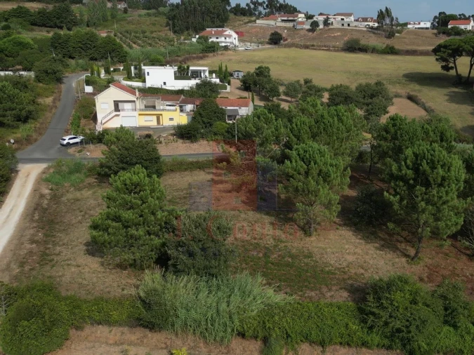 Terreno Agricola ou Rústico para Venda em Salir de Matos Foto 15