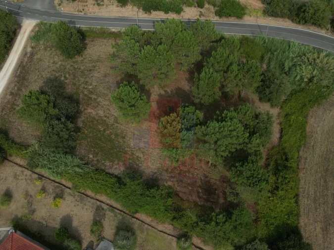 Terreno Agricola ou Rústico para Venda em Salir de Matos Foto 18
