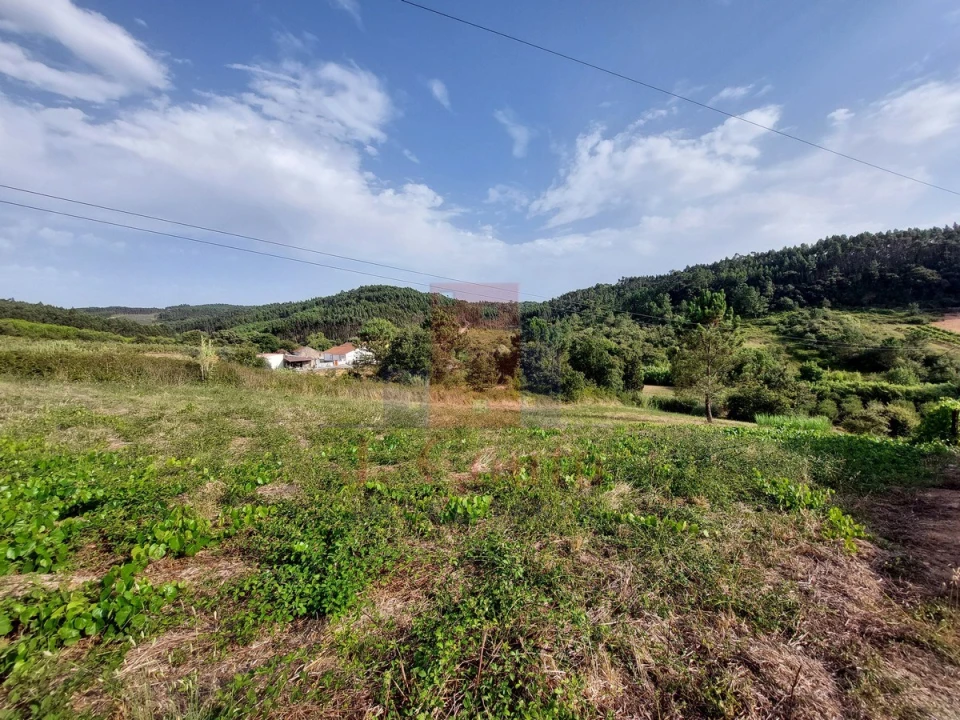 Terreno Agricola ou Rústico para Venda em Salir de Matos Foto 5