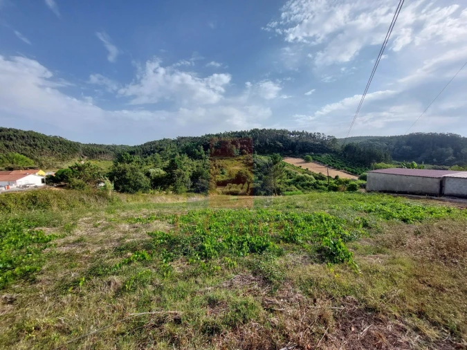 Terreno Agricola ou Rústico para Venda em Salir de Matos Foto 2