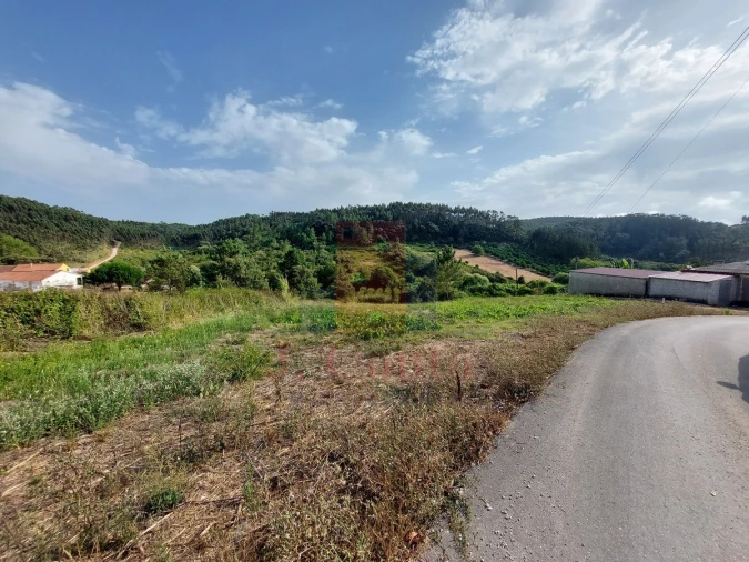 Terreno Agricola ou Rústico para Venda em Salir de Matos Foto 4