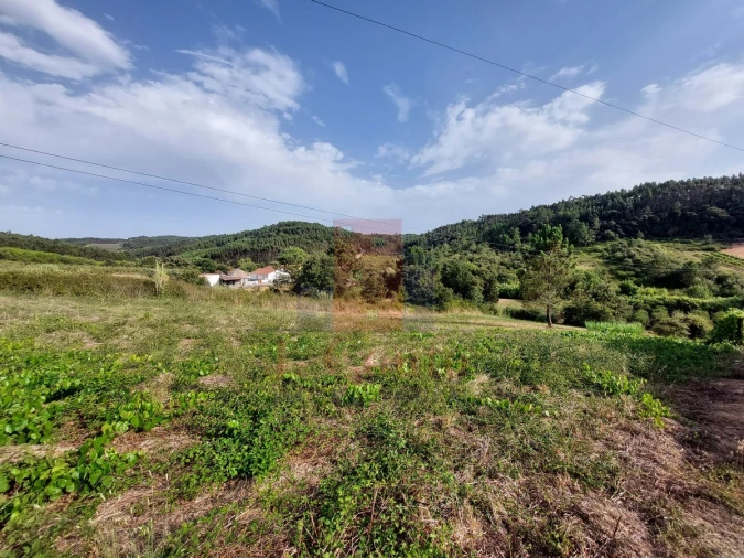 Terreno Agricola ou Rústico para Venda em Salir de Matos Foto 5