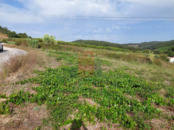 Terreno Agricola ou Rústico para Venda em Salir de Matos Foto 6