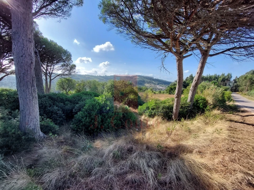 Terreno Agricola ou Rústico para Venda em A dos Francos Foto 7
