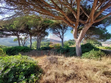 Terreno Agricola ou Rústico para Venda em A dos Francos