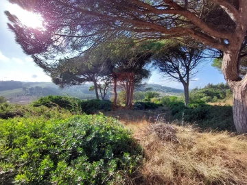 Terreno Agricola ou Rústico para Venda em A dos Francos